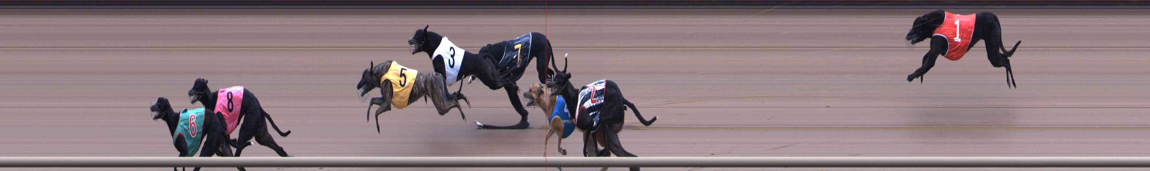 Race result finish photo